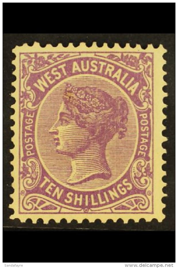 WESTERN AUSTRALIA 1902-11 10s Deep Mauve Perf 12x12&frac12;, SG 127, Fine Mint, Usual Streaky Gum For More Images,... - Sonstige & Ohne Zuordnung