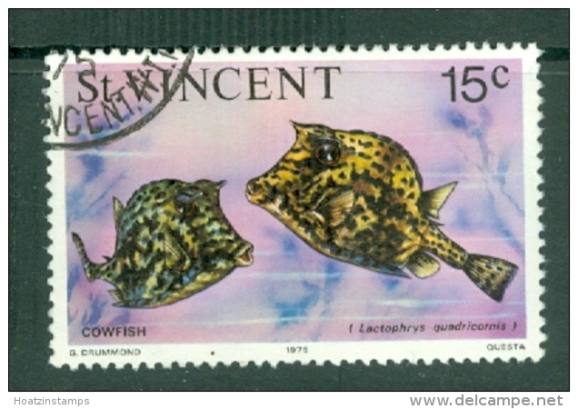 St Vincent: 1975/76   Marine Life    SG431     15c   [Scribbled Cowfish]    Used - St.Vincent (...-1979)