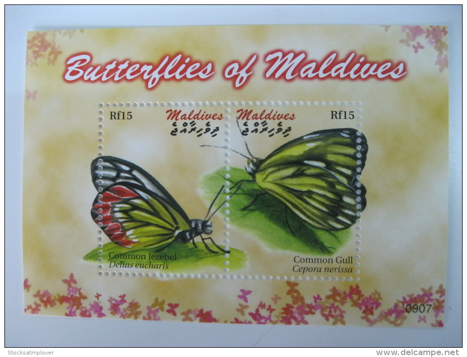 Maldives-Butterflies - Vlinders