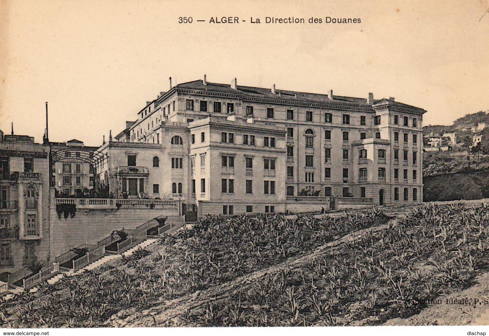 Alger. La Direction Des Douanes - Alger