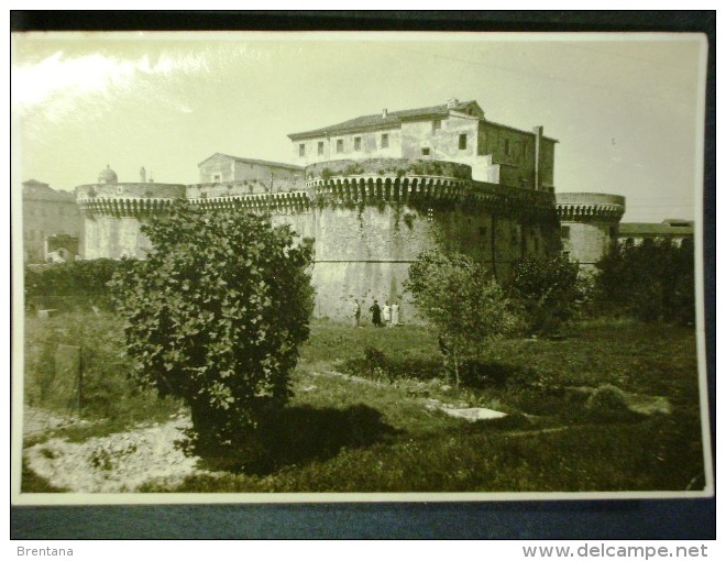 MARCHE -ANCONA -SENIGALLIA Foto -F.P. LOTTO N°578 - Ancona