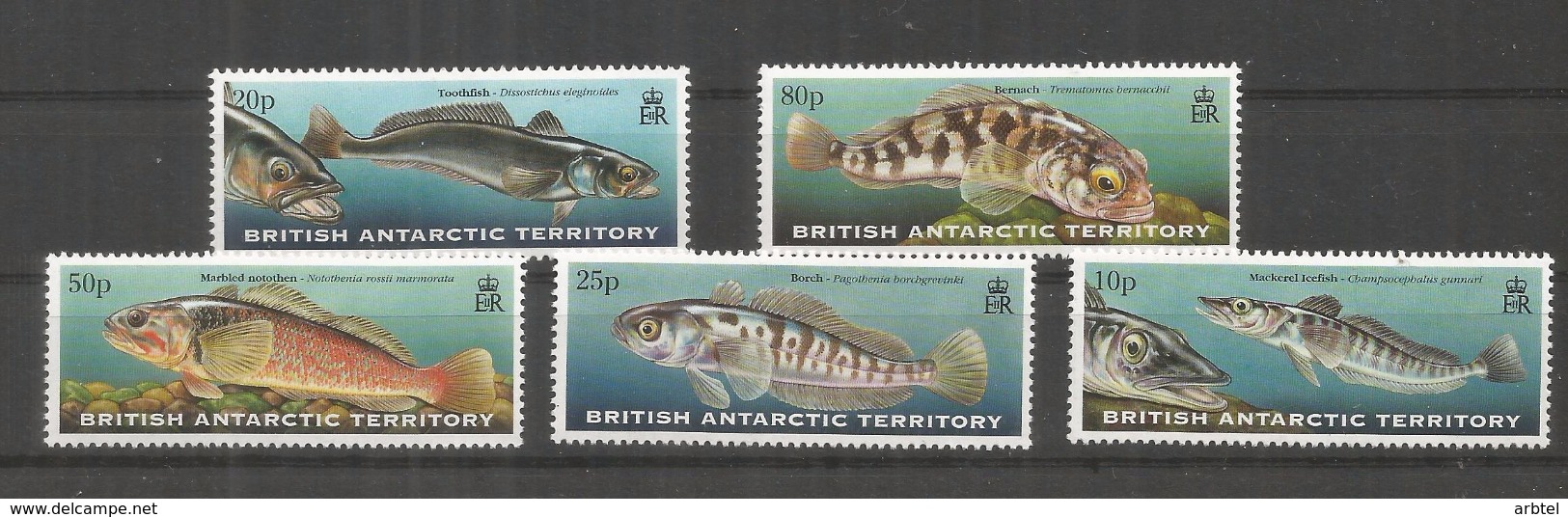 BRITISH ANTARCTIC TERRITORY  ANTARTIDA POLO SUR ANTARCTICA FISH - Faune Antarctique