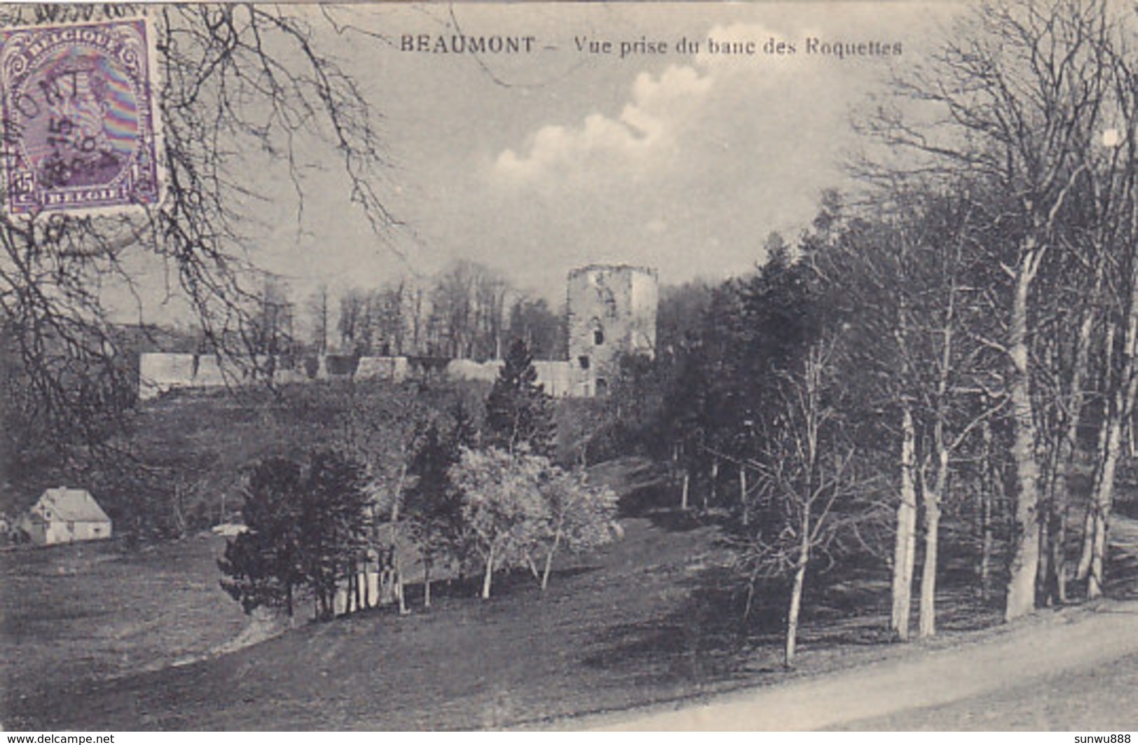 Beaumont - Vue Prise Du Banc Des Roquettes (Arthur Mertens) - Beaumont