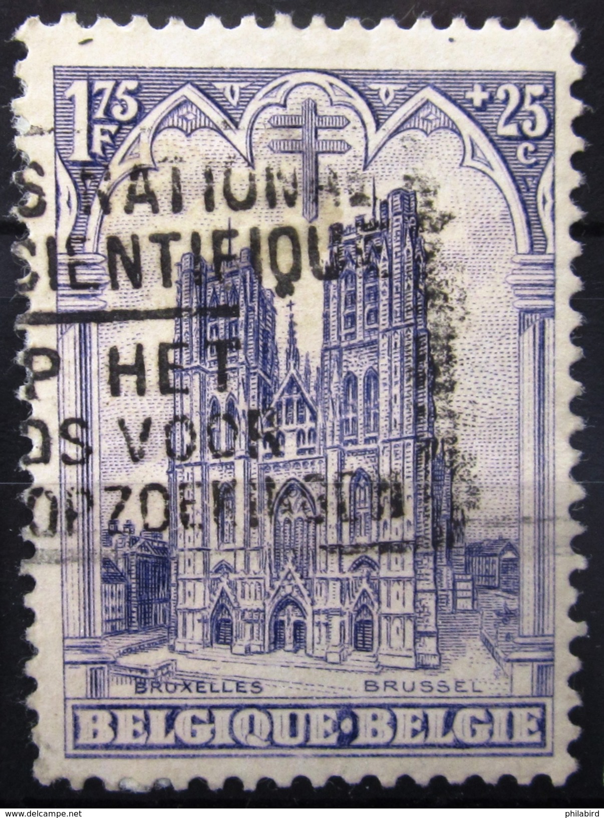 BELGIQUE                    N° 271                       OBLITERE - Used Stamps