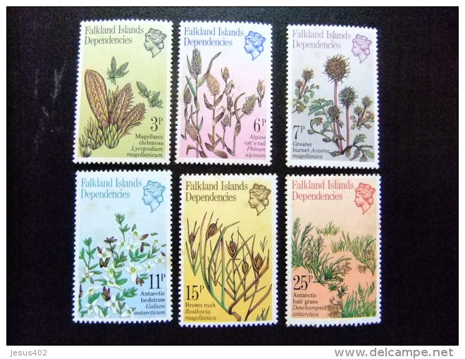 MALVINAS FALKLAND ISLANDS DEPENDENCIES 1981 FLORE PLANTES ANTARTIQUES Yvert N º 92 / 97 ** MNH  Taches De Rouille - Falkland Islands