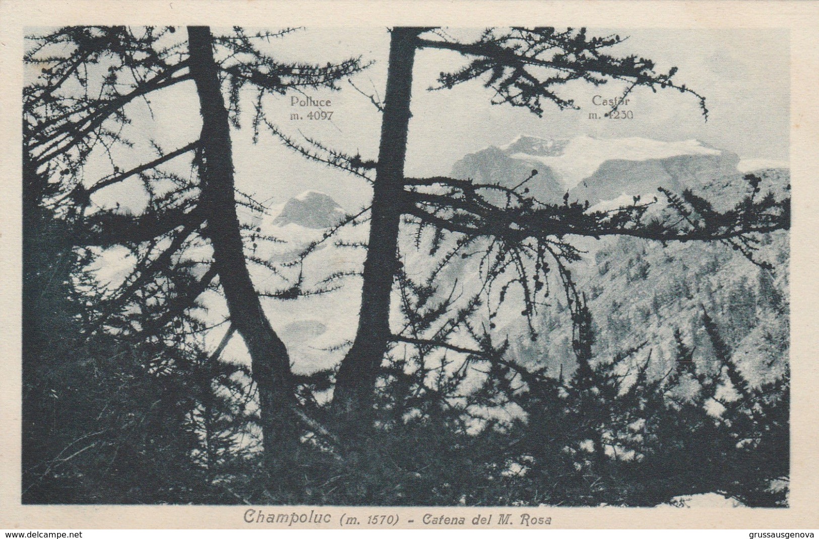 9806) CHAMPOLUC CATENA DEL MONTE ROSA GHIACCIAIO NON VIAGGIATA 1920 CIRCA - Altri & Non Classificati