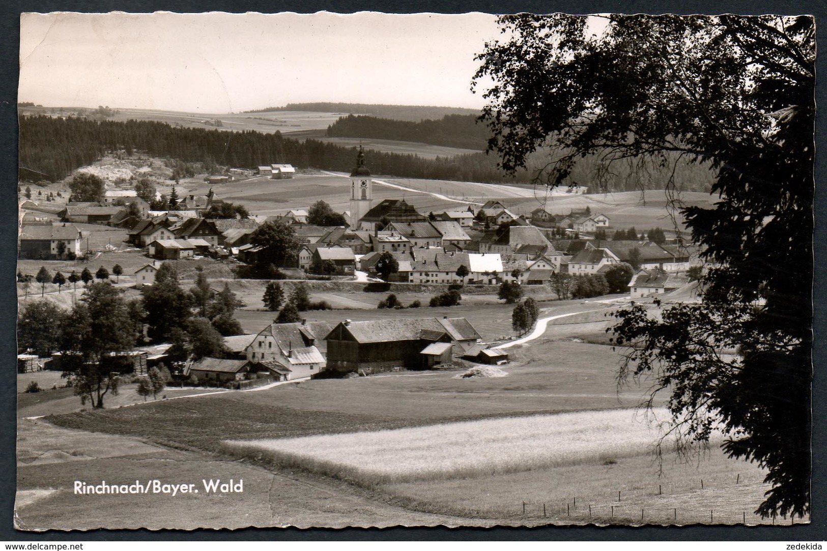 9840 - Alte Foto Ansichtskarte - Rinchnach - Gel 1964 - Regen