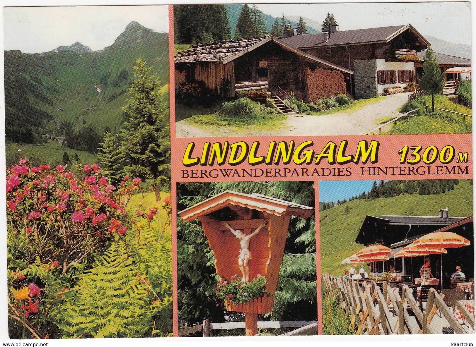 SENNHÜTTE - Lindlingalm 1300 M., Hinterglemm -  (Salzburger Land, Austria) - Saalbach