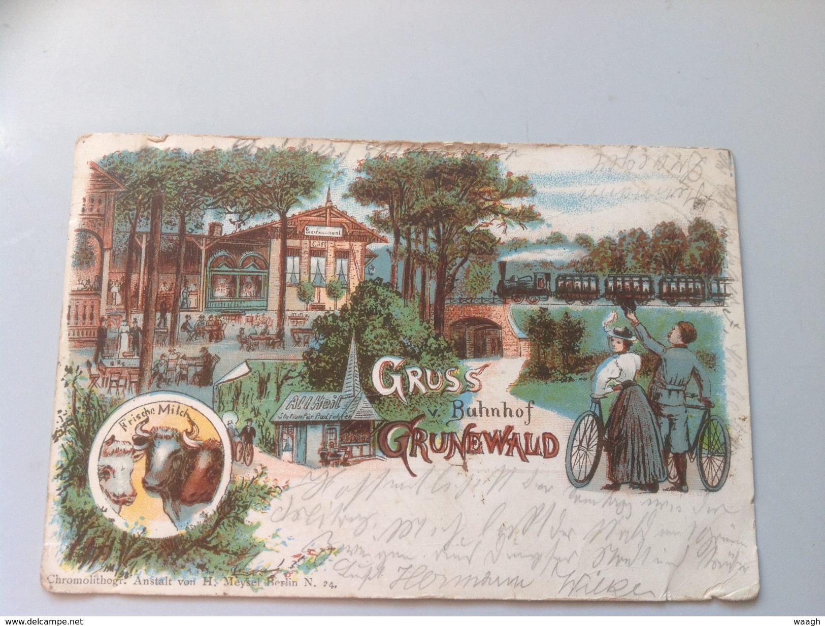 24 - Gruss V. Bahnhof Grunewald - 1900 Timbrée - Grunewald