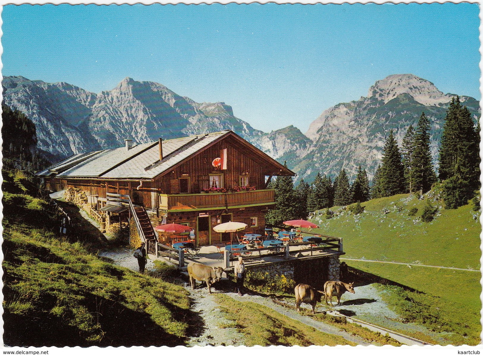Pertisau - Bärenbadalpe : WEISSENBACH-HÜTTE - 1447 M. -  Achensee, Karwendelgebirge -  (Tirol, Austria) - Pertisau
