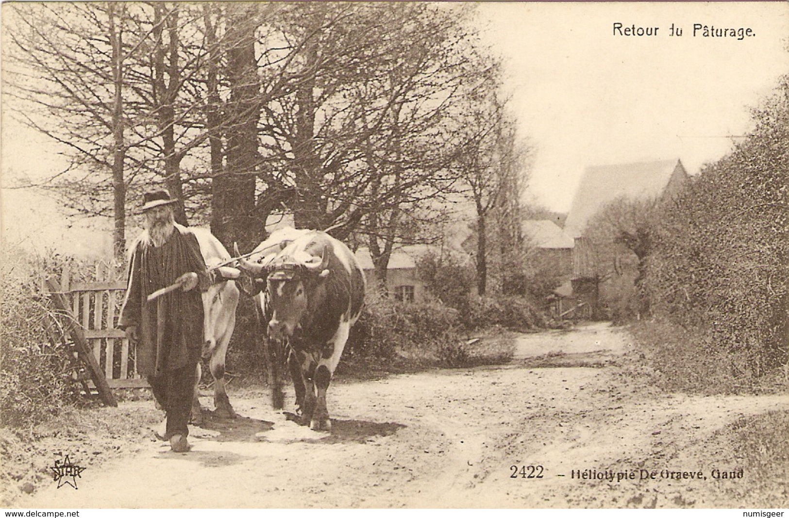 ROCHEFORT   ---  Retour Du Pâturage - Rochefort