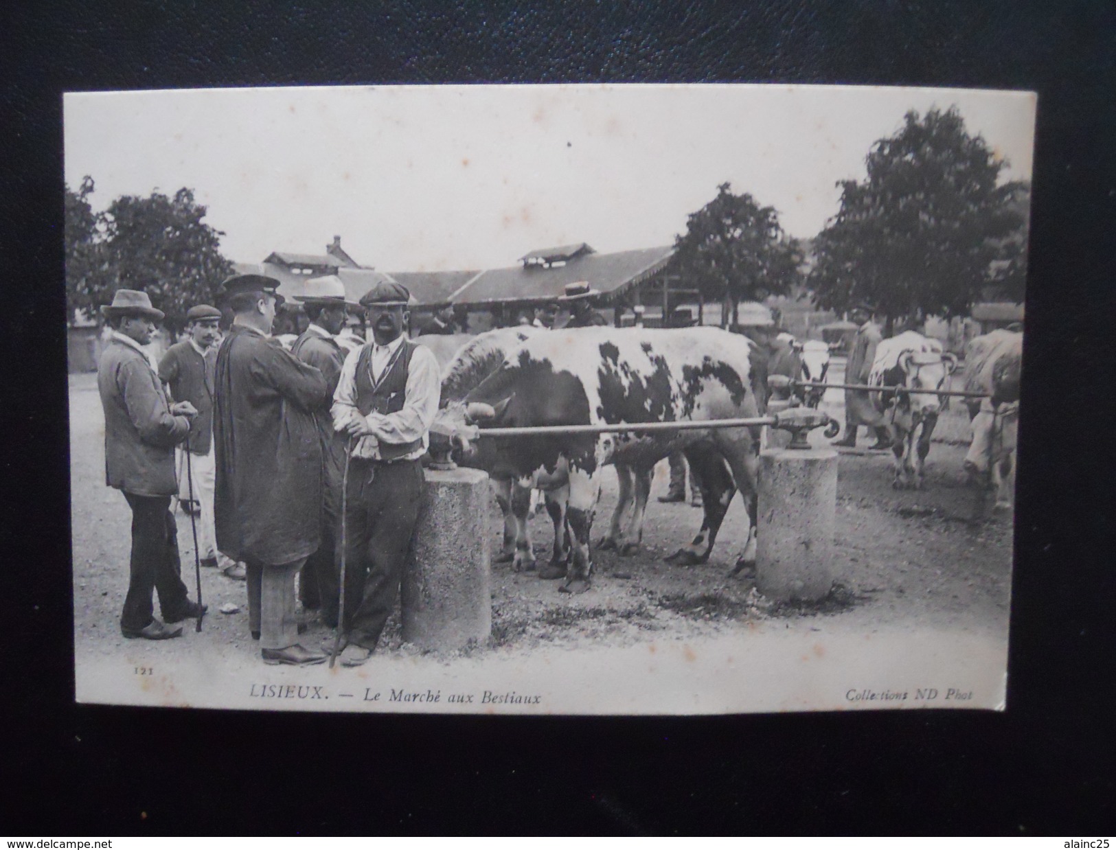 LISIEUX - Le Marché Aux Bestiaux - Markets