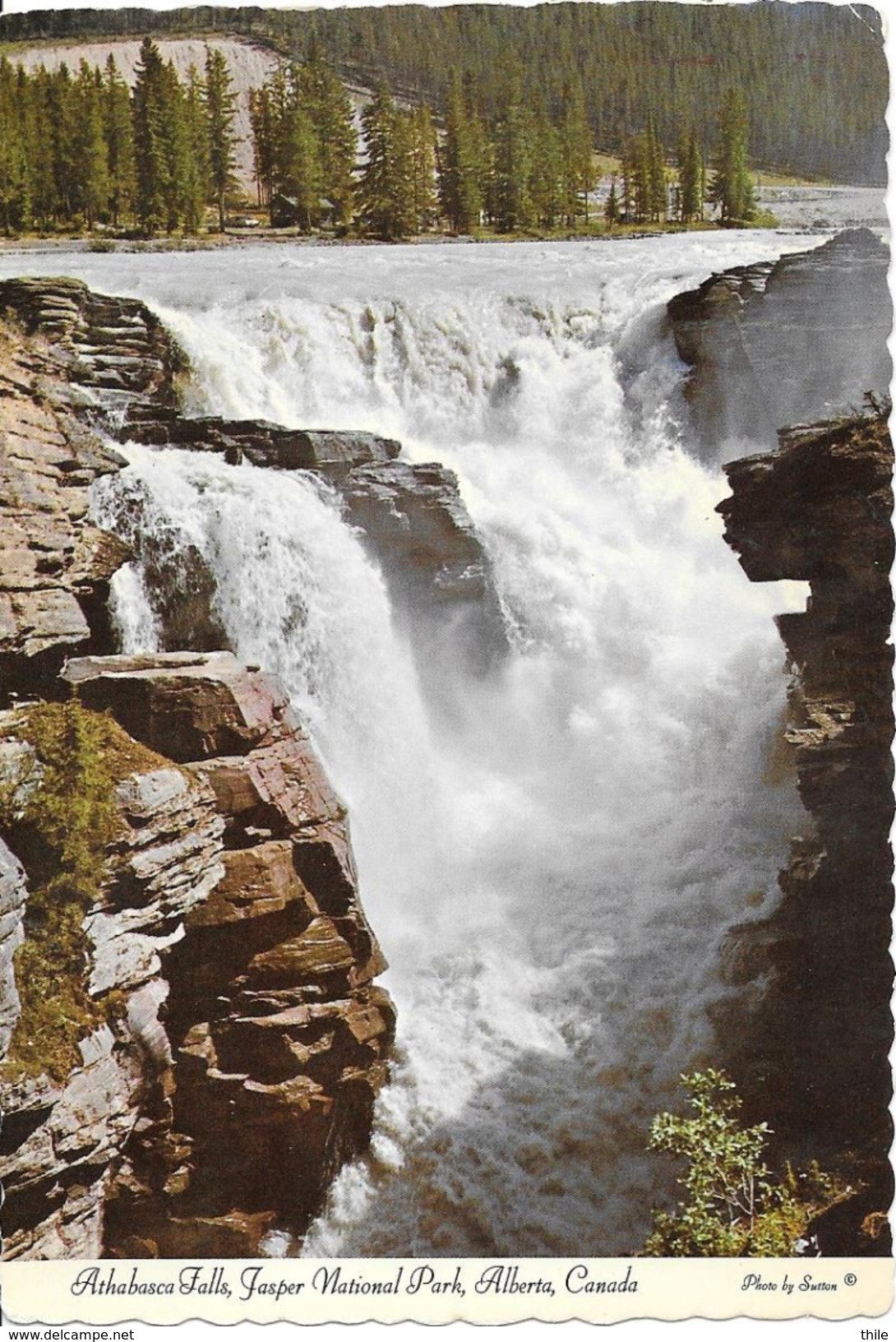 Athabasca Falls, Jasper National Park, ALBERTA - Jasper