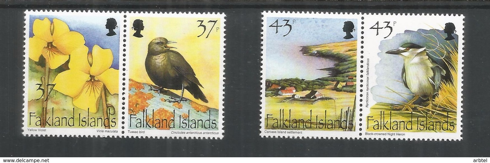 FALKLAND ISLANDS ANTARTCTIC ANTARTIDA POLO SUR AVE PAJARO FLORA PINGÜINO - Research Programs