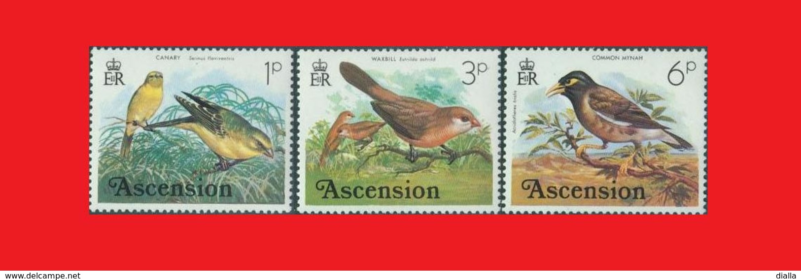 ASCENSION 1976, Serin Jaune - Canary / Waxbill - Astrild Capucin / Myna - Martin Triste MNH ** - Passereaux