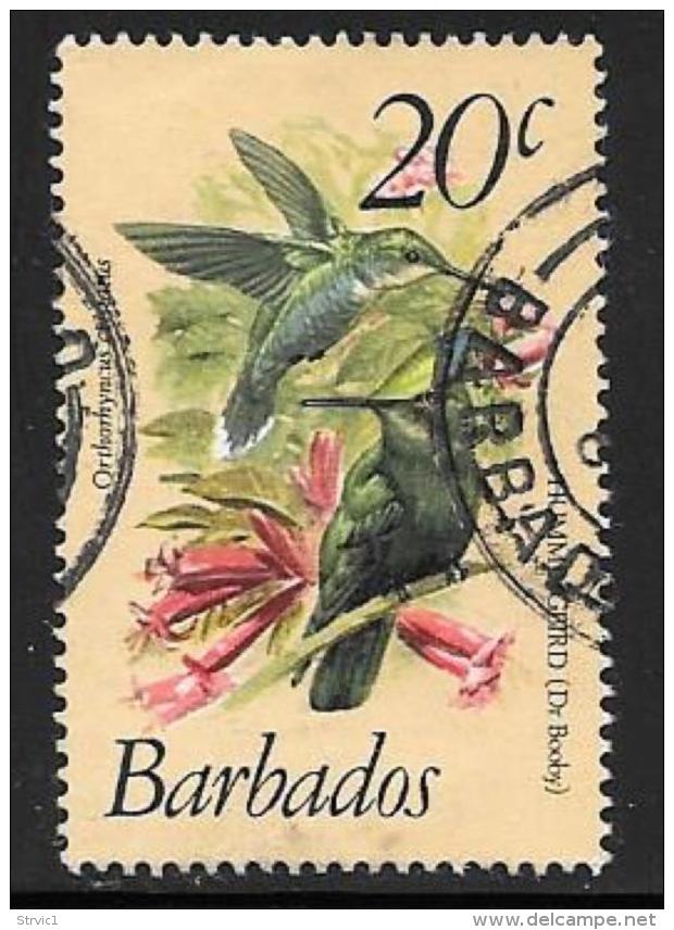 Barbados, Scott # 501 Used Birds, 1979 - Barbados (1966-...)