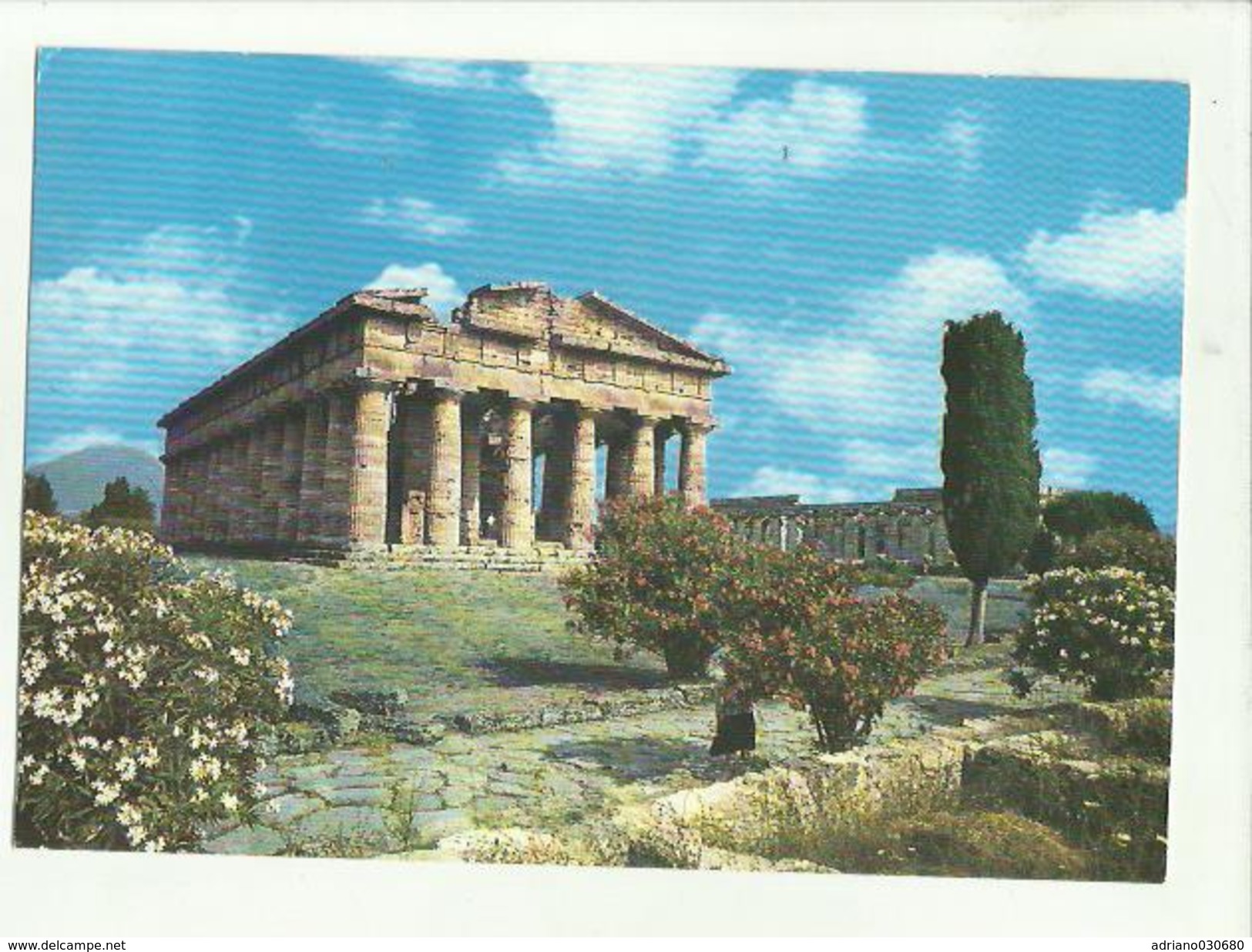 135708 Cartolina Di Paestum - Salerno