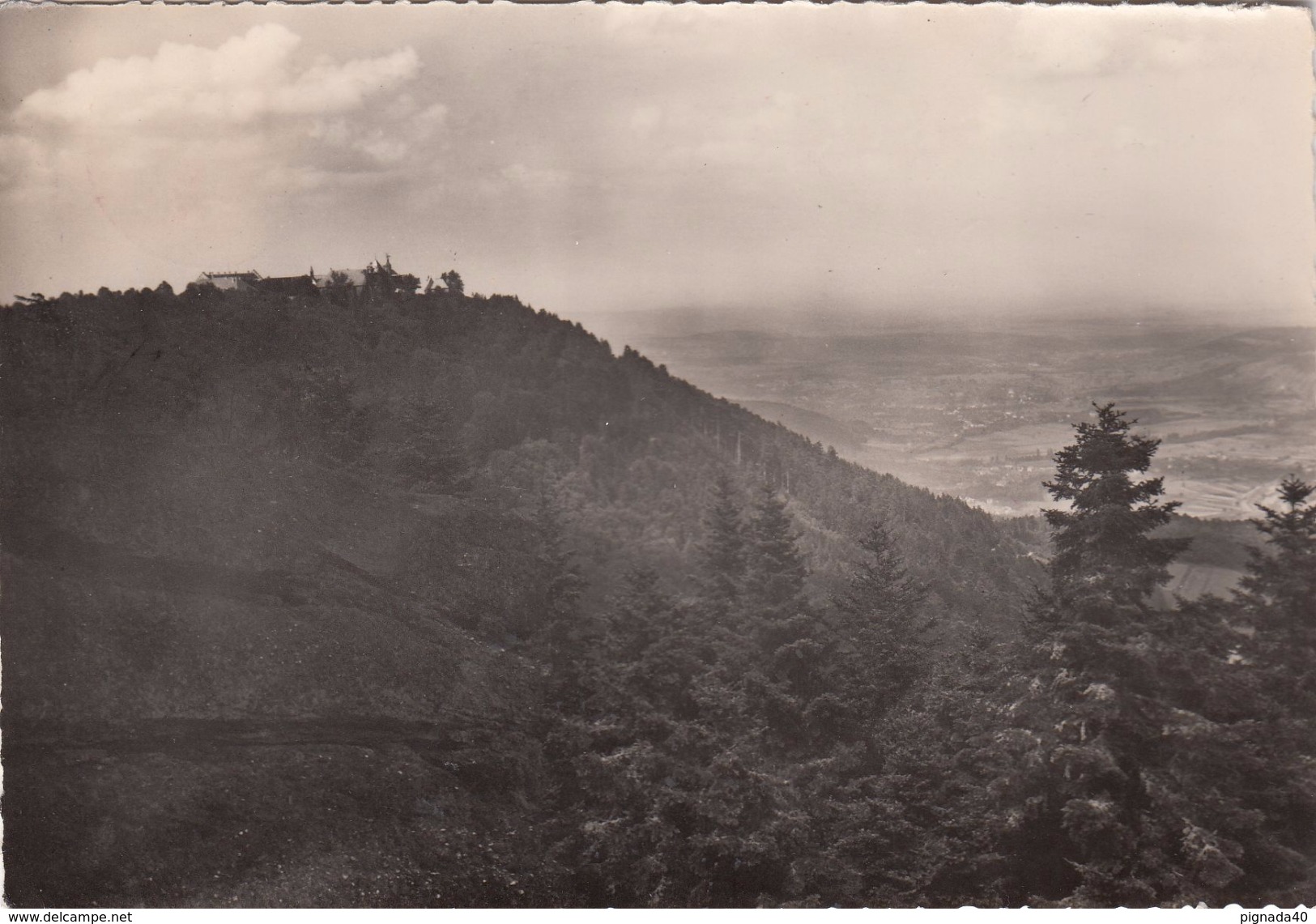 G , Cp , 67 , LE MONT SAINTE-ODILE , 763 M. , Vue Sur La Plaine D'Alsace - Sainte Odile