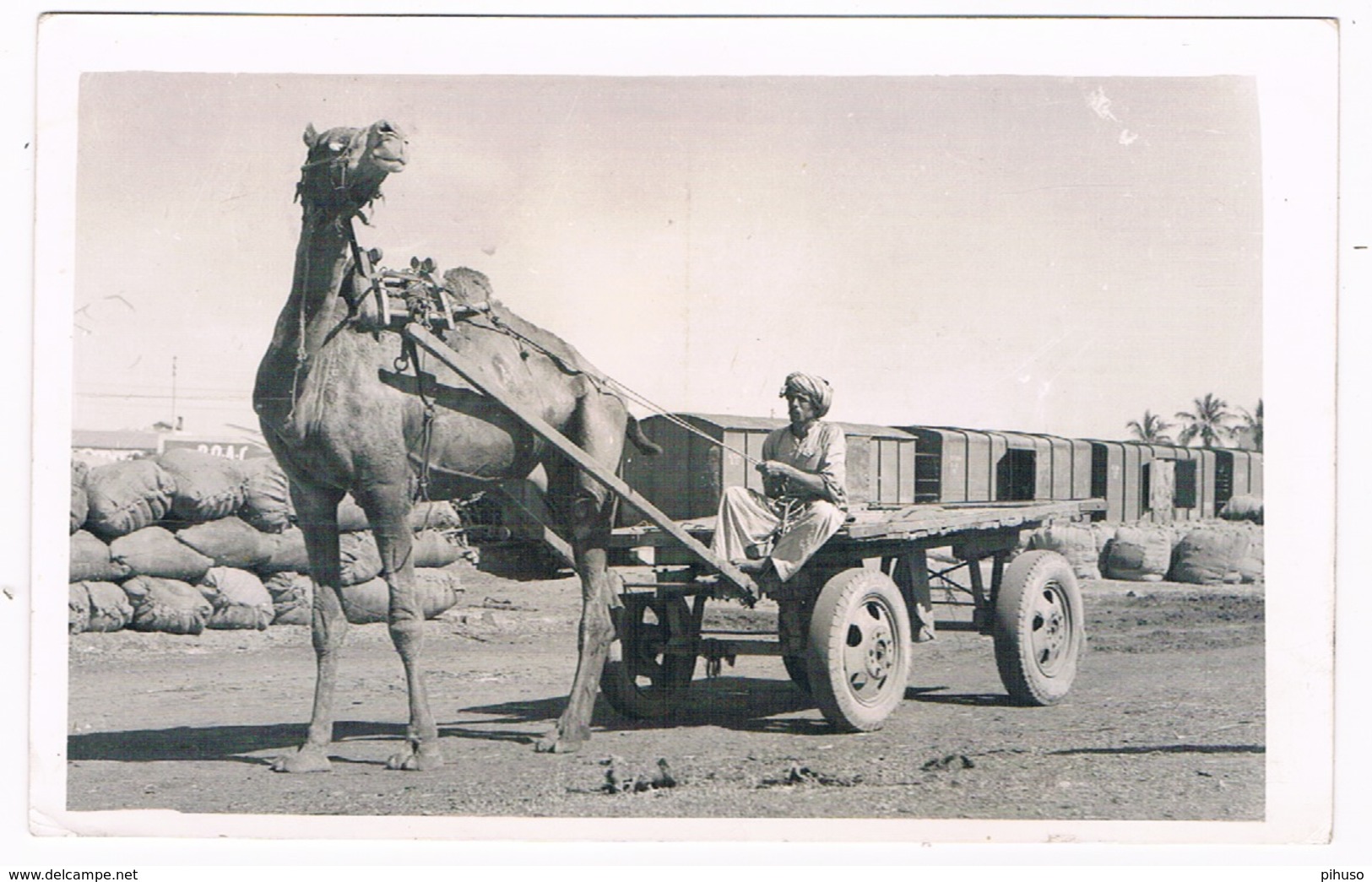 ASIA-1077 : KARACHI : Camel Cart - Pakistan