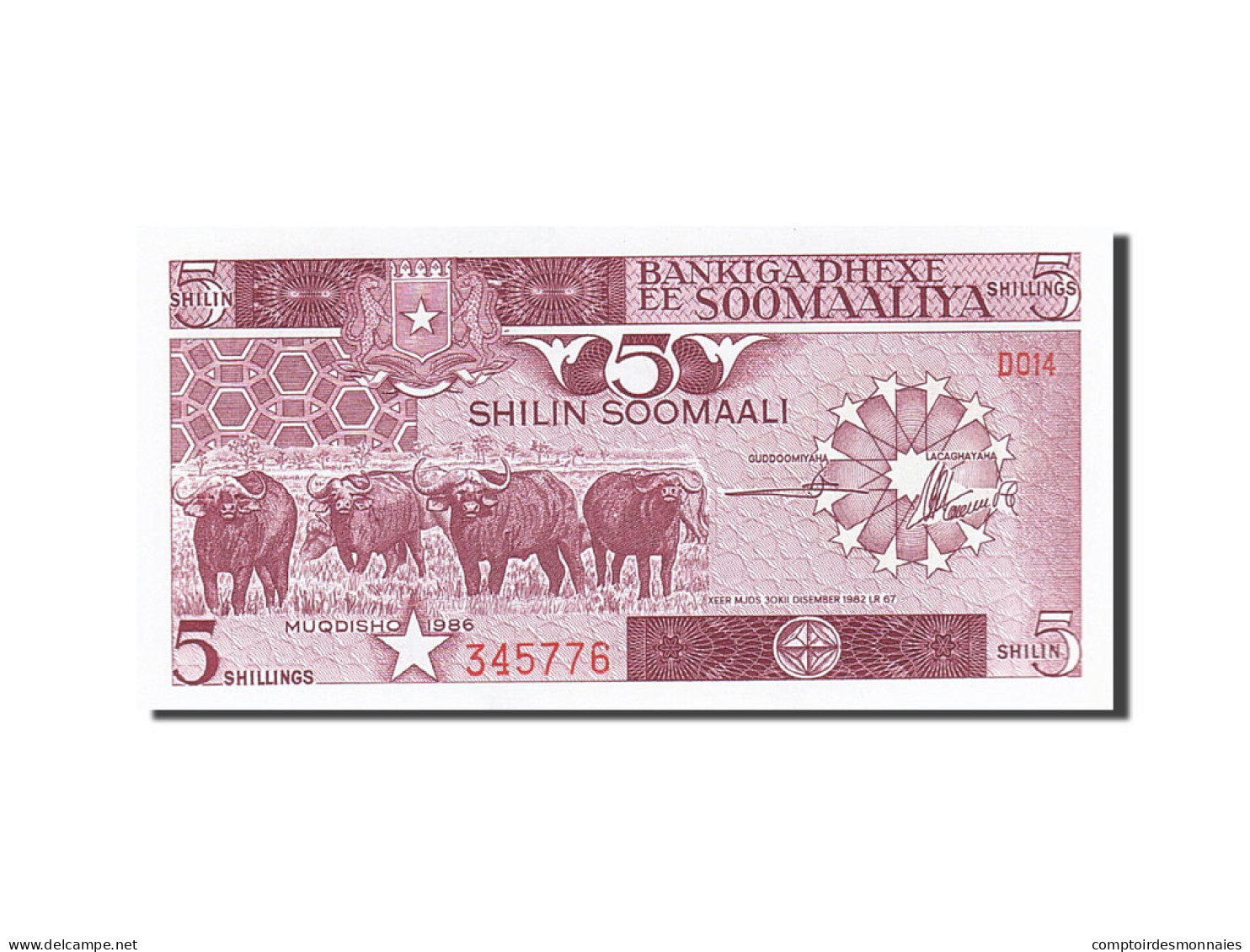 Billet, Somalie, 5 Shilin = 5 Shillings, 1982-1983, 1986, KM:31b, NEUF - Somalie