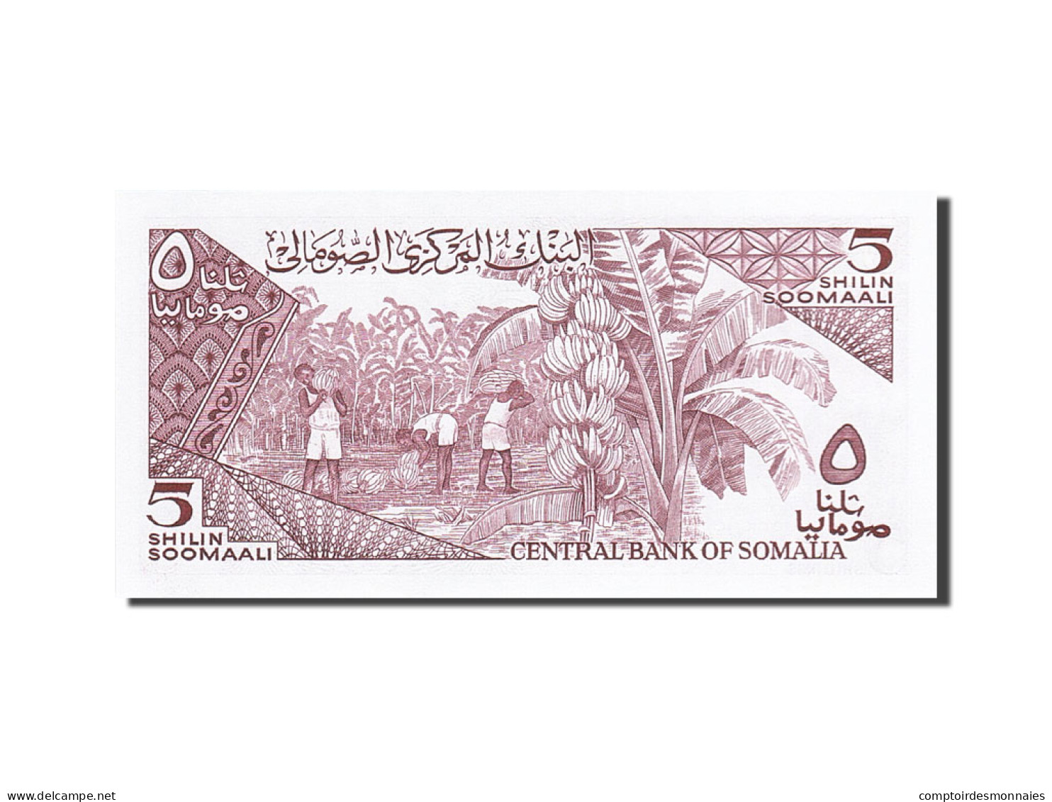 Billet, Somalie, 5 Shilin = 5 Shillings, 1982-1983, 1986, KM:31b, NEUF - Somalia