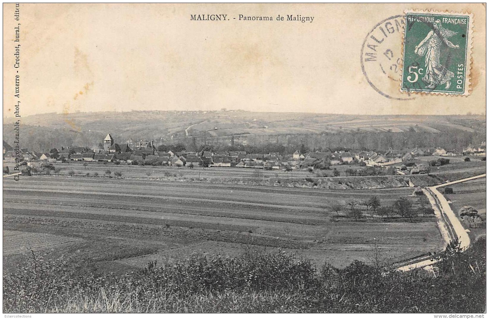 Maligny     89    Panorama        (voir Scan) - Sonstige & Ohne Zuordnung