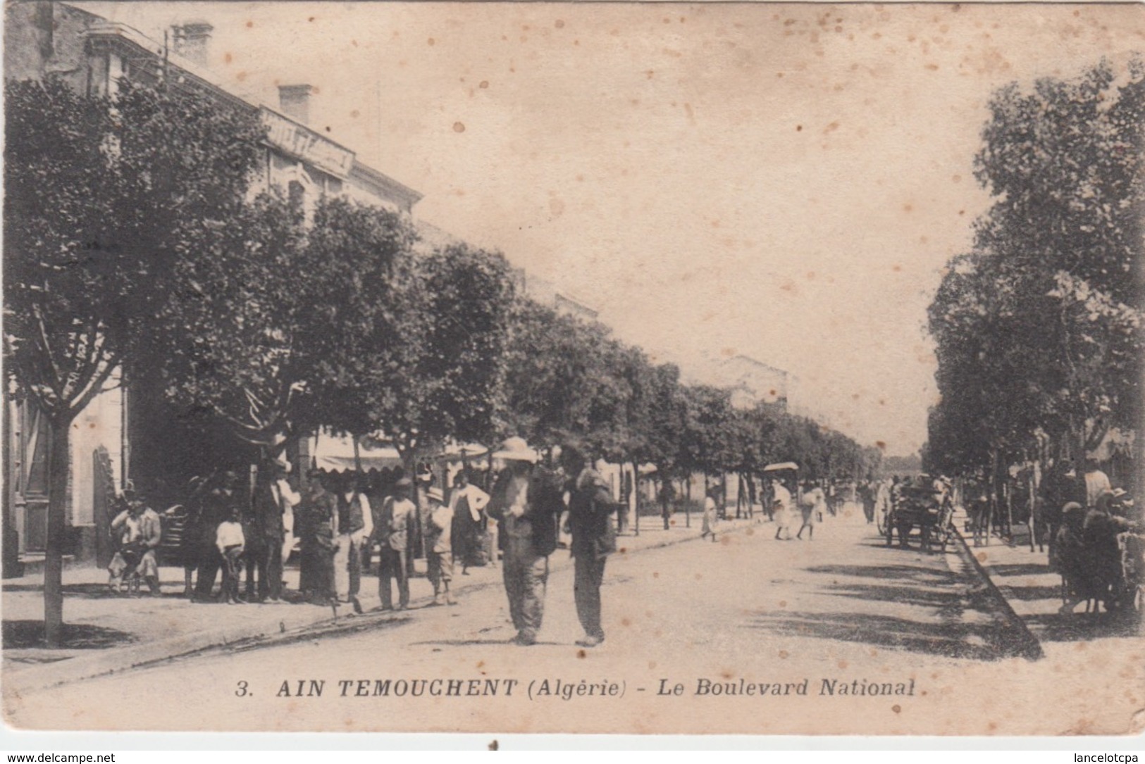 ALGERIE - AIN TEMOUCHENT / LE BOULEVARD NATIONAL - Autres & Non Classés