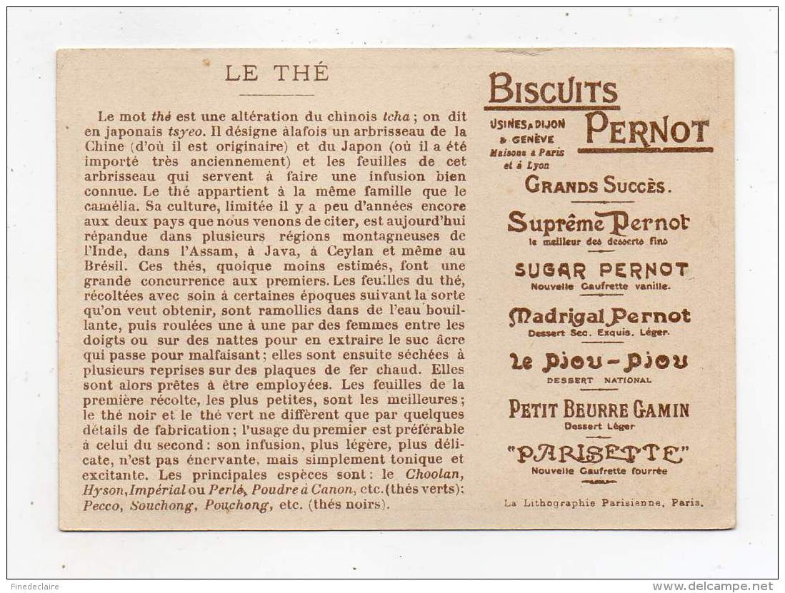 Chromo - Biscuits Pernot - La Récolte Du Thé - Pernot