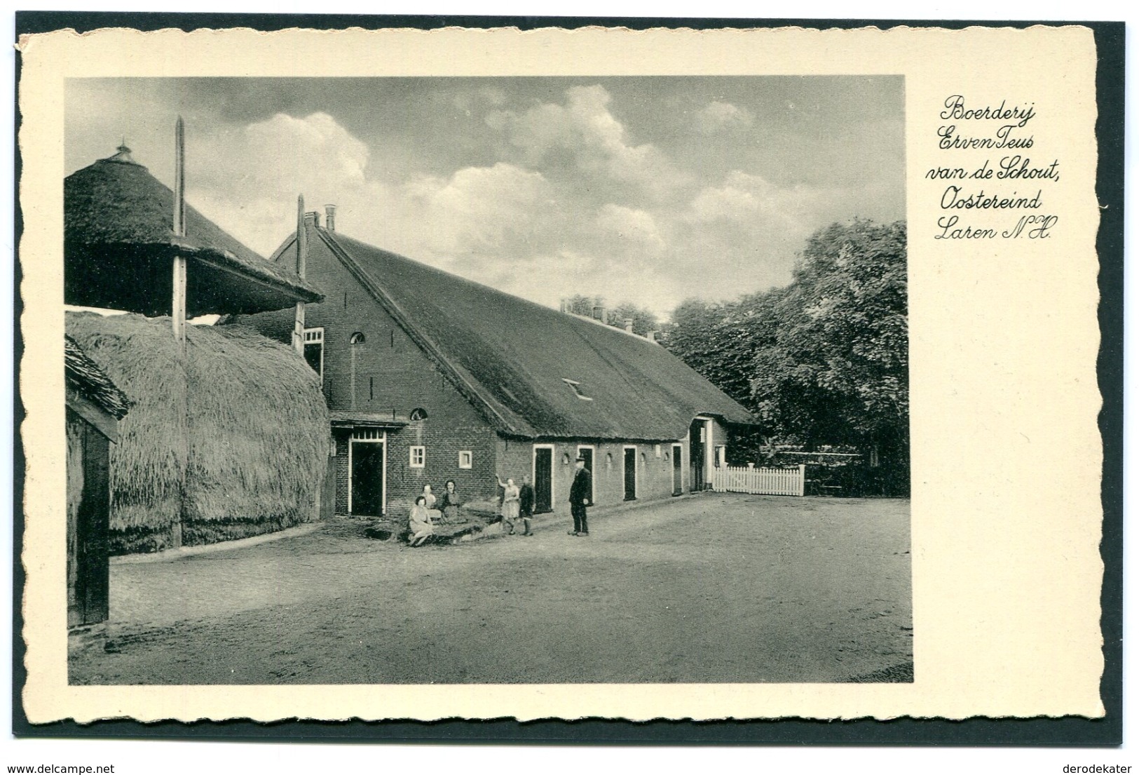 BOERDERIJ ERVEN TEUS VAN DE SCHOUT, OOSTEREIND LAREN N.H.ONGELOPEN.VIJF ROEIER HOOIBERG.OOSTEREIND LAREN.FRAAI! - Laren (NH)