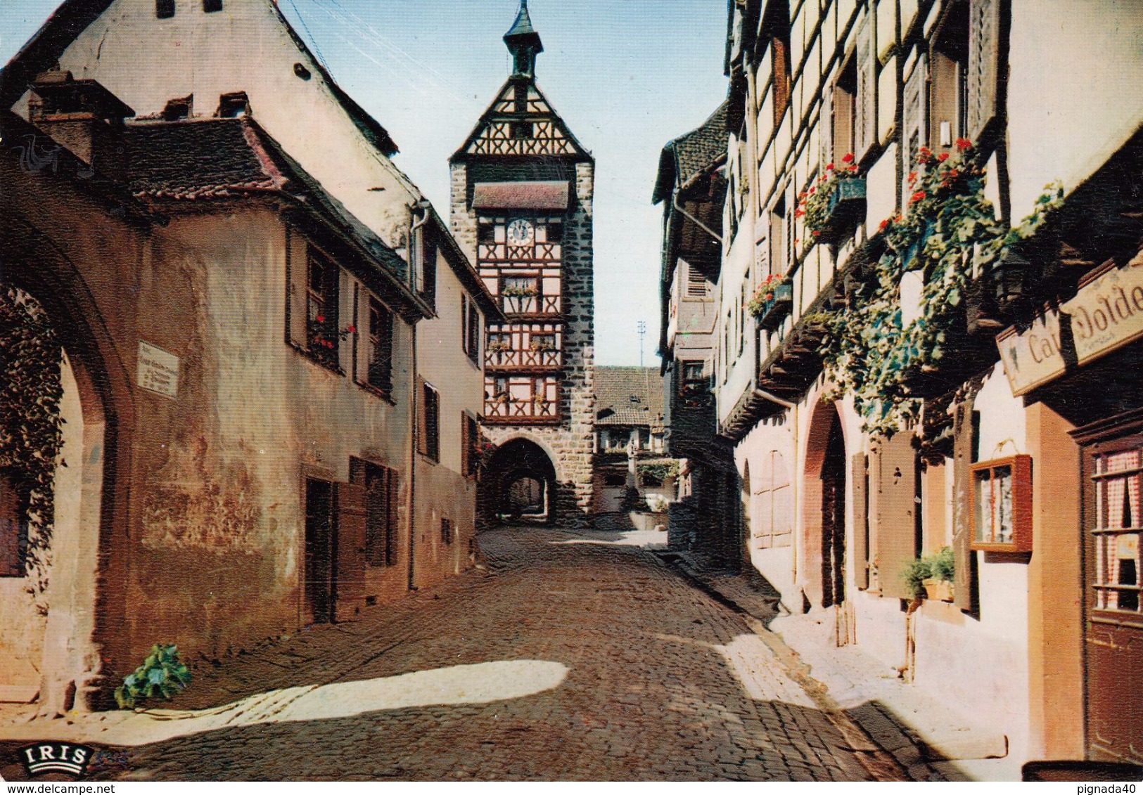 G , Cp , 68 , RIQUEWIHR , Le Dolder (XIIIe S.) - Riquewihr