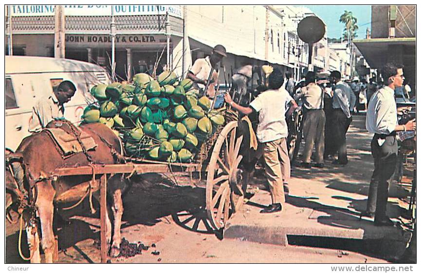 GREETINGS FROM TRINIDAD COCONUT VENDOR DOWNTOWN PORT OF SPAIN - Trinidad