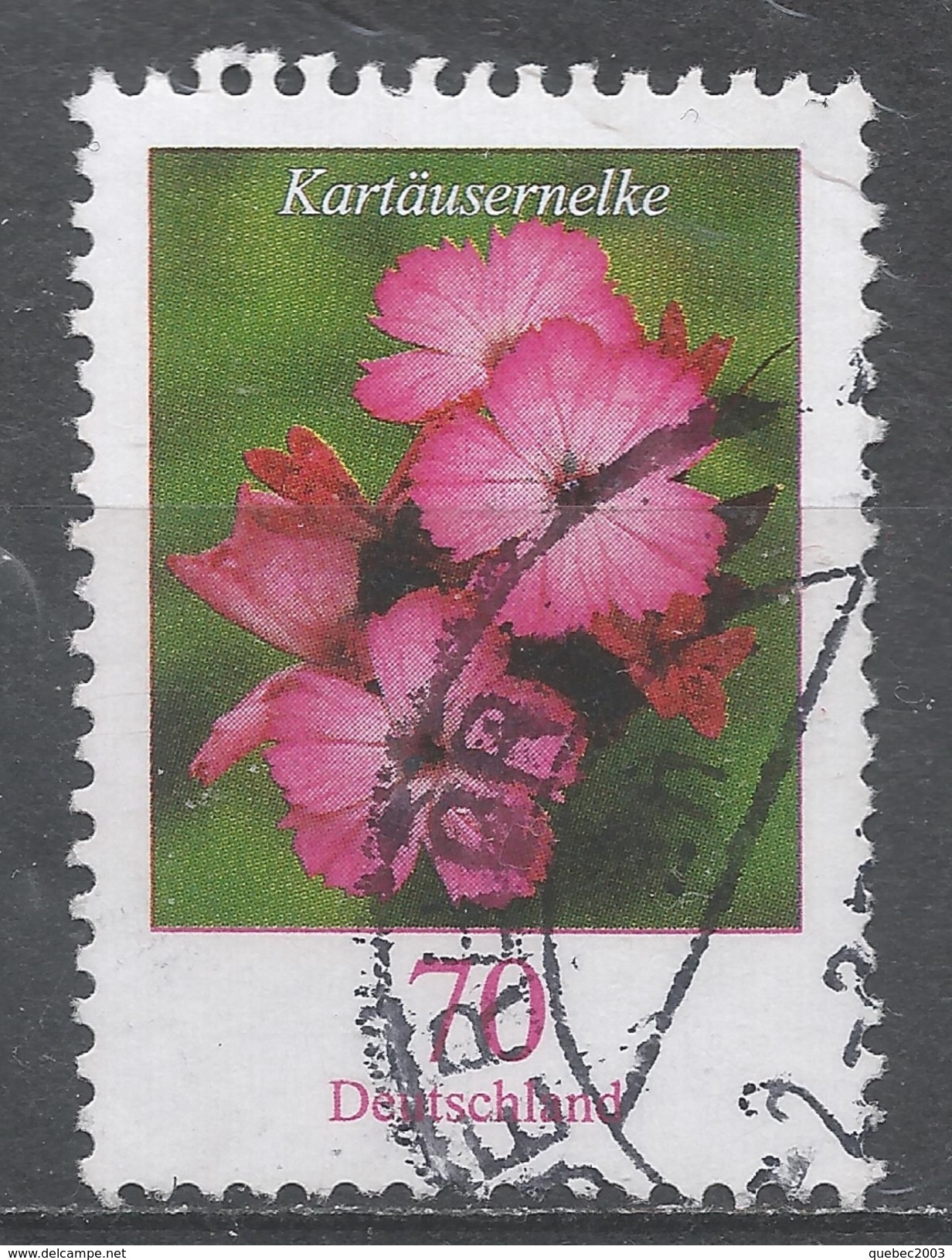 Germany 2006. Scott #2317 (U) Flower's Narzisse (Narcissus) * - Oblitérés