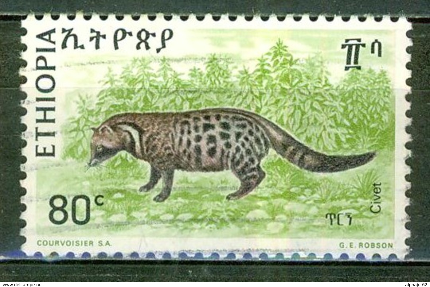 1975 - ETHIOPIE - Animaux Sauvages, Faune - Civette - N° 740 - Etiopia