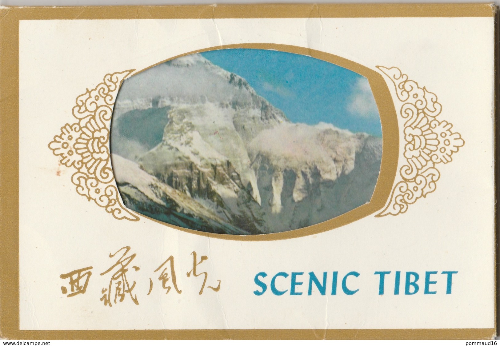 Pochette De 11 CPM Scenic Tibet - Tibet