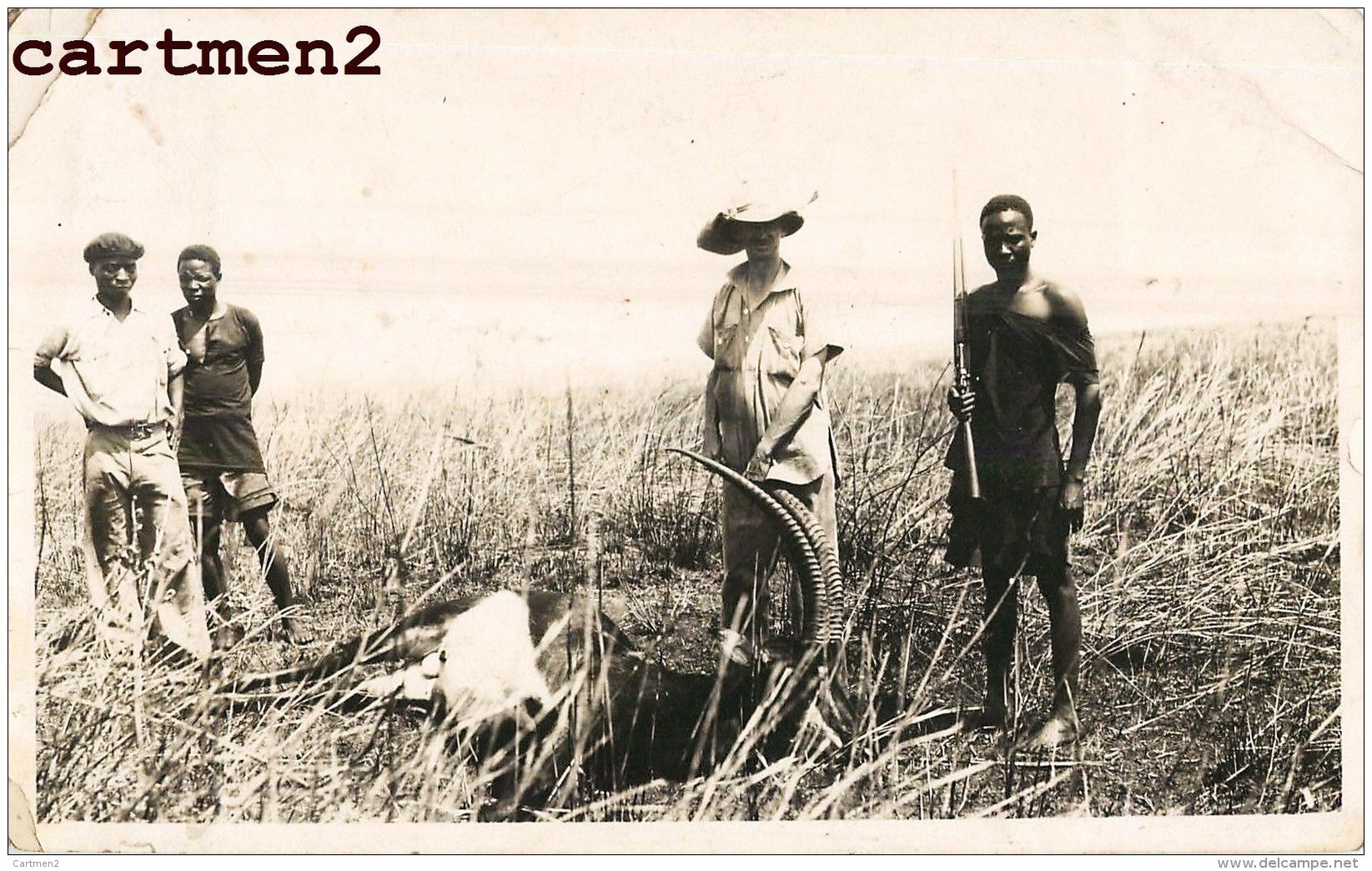 PHOTOGRAPHIE ANCIENNE : AFRIQUE CHASSE ANTILOPE SPRINGBOK IMPALA GAZELLE BRACONNIER CHASSEUR HUNT HUNTING AFRICA - Africa