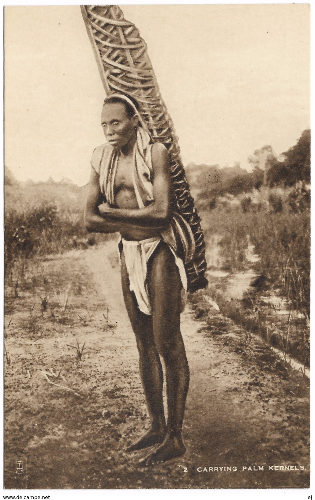 Carrying Palm Kernels - Sierra Leone Native With Palm Kernels On Back - Raphael Tuck - Unused - Sierra Leone