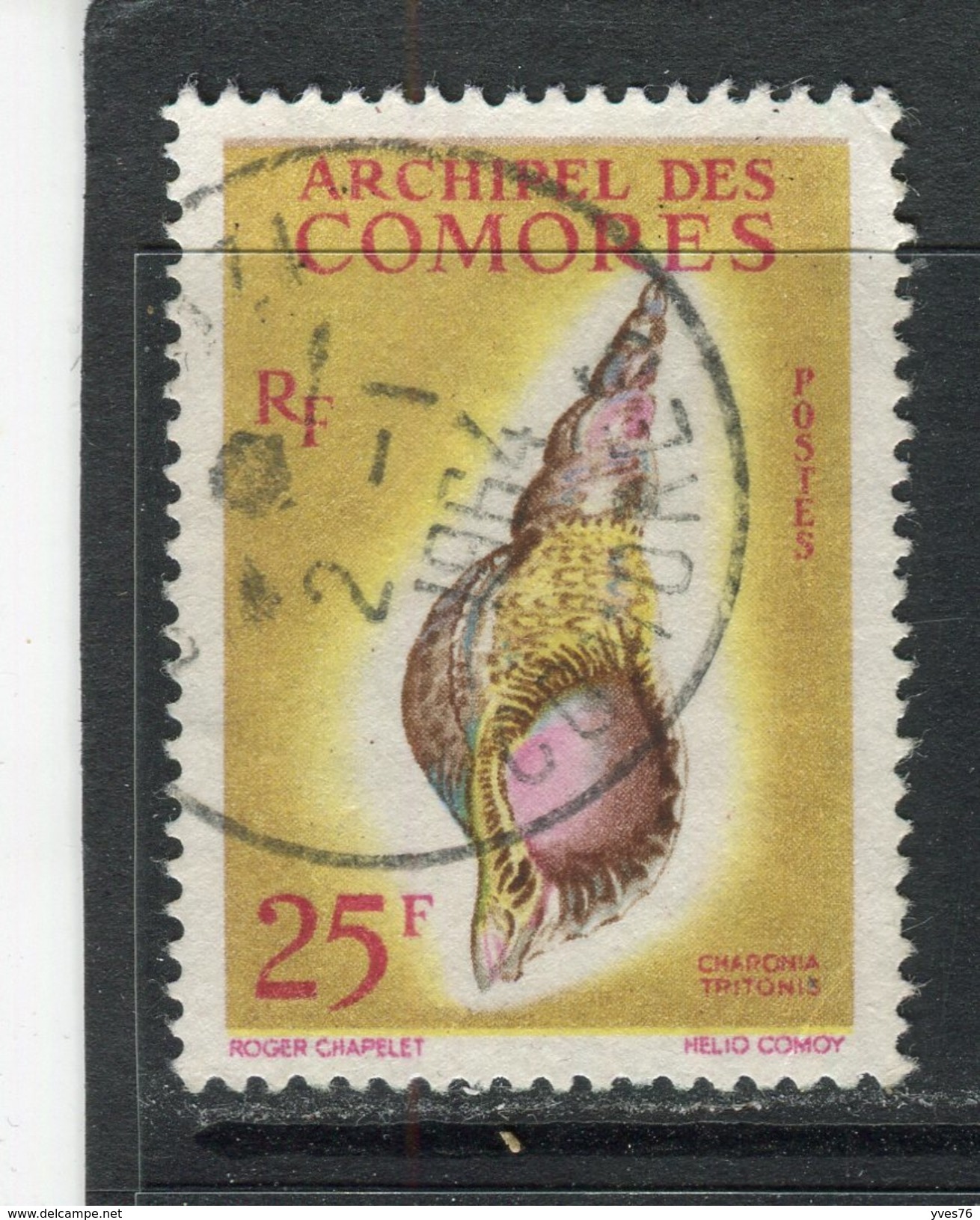 COMORES - Y&T N° 24° - Coquillage - Charonia Tritonis - Used Stamps