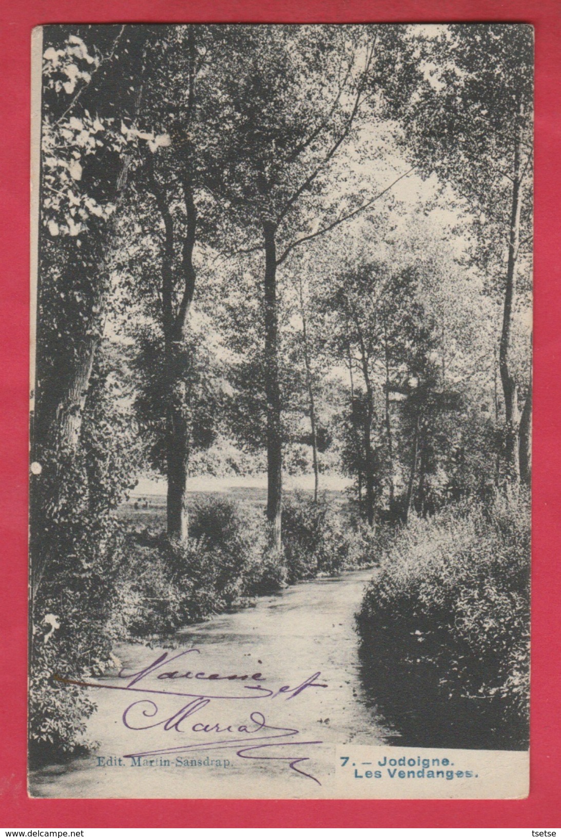 Jodoigne - Lieu Dit " Les Vendanges "  - 1909 ( Voir Verso ) - Jodoigne