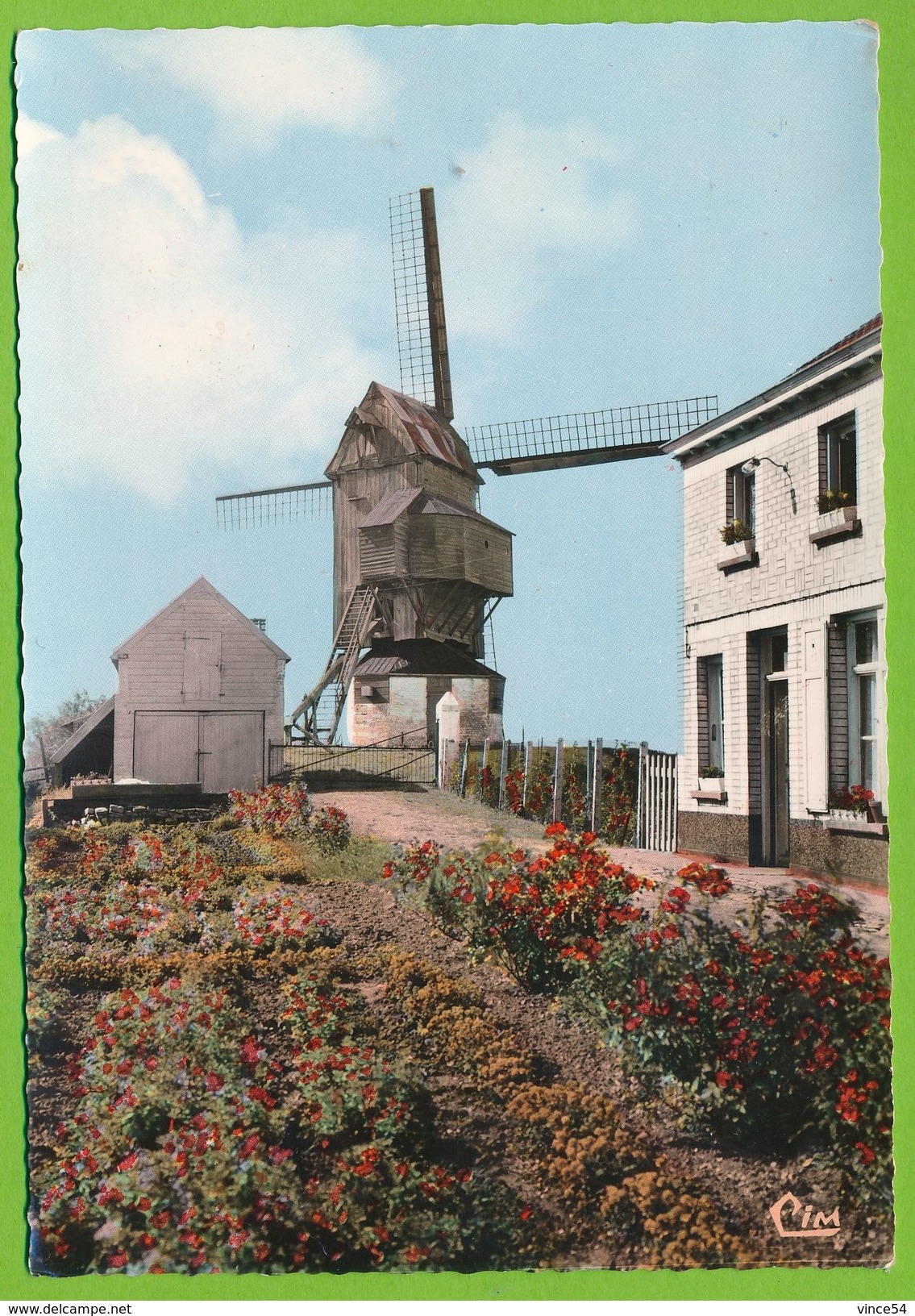 HONDSCHOTTE - Le Moulin Photo Véritable Colorisée - Hondshoote