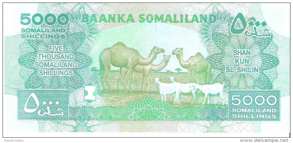 Somaliland - Pick 21 - 5000 Shillings 2011 - Unc - Somalia