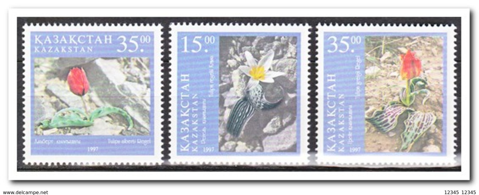 Kazachstan 1997, Postfris MNH, Flowers - Kazachstan