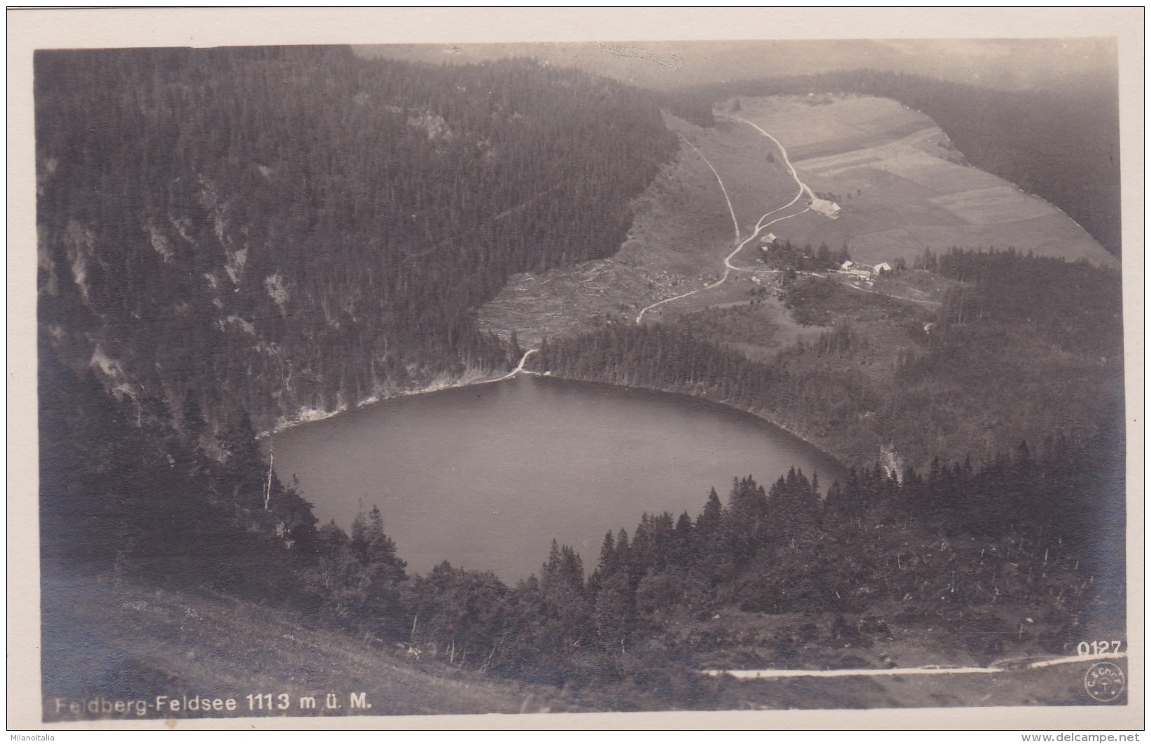 Feldberg - Feldsee (0127) - Feldberg