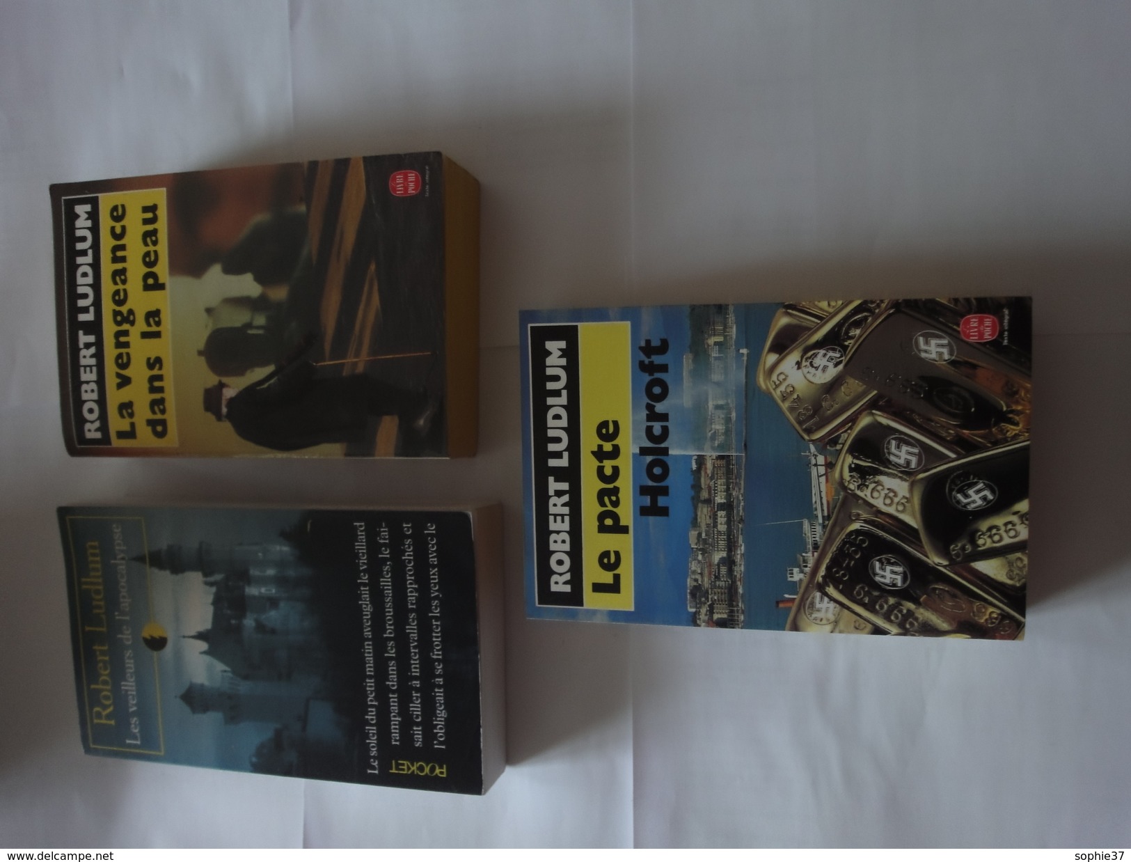 Lot De 9 Livres J'ai Lu  Roman Espionnage De  Robert Ludlum - Loten Van Boeken