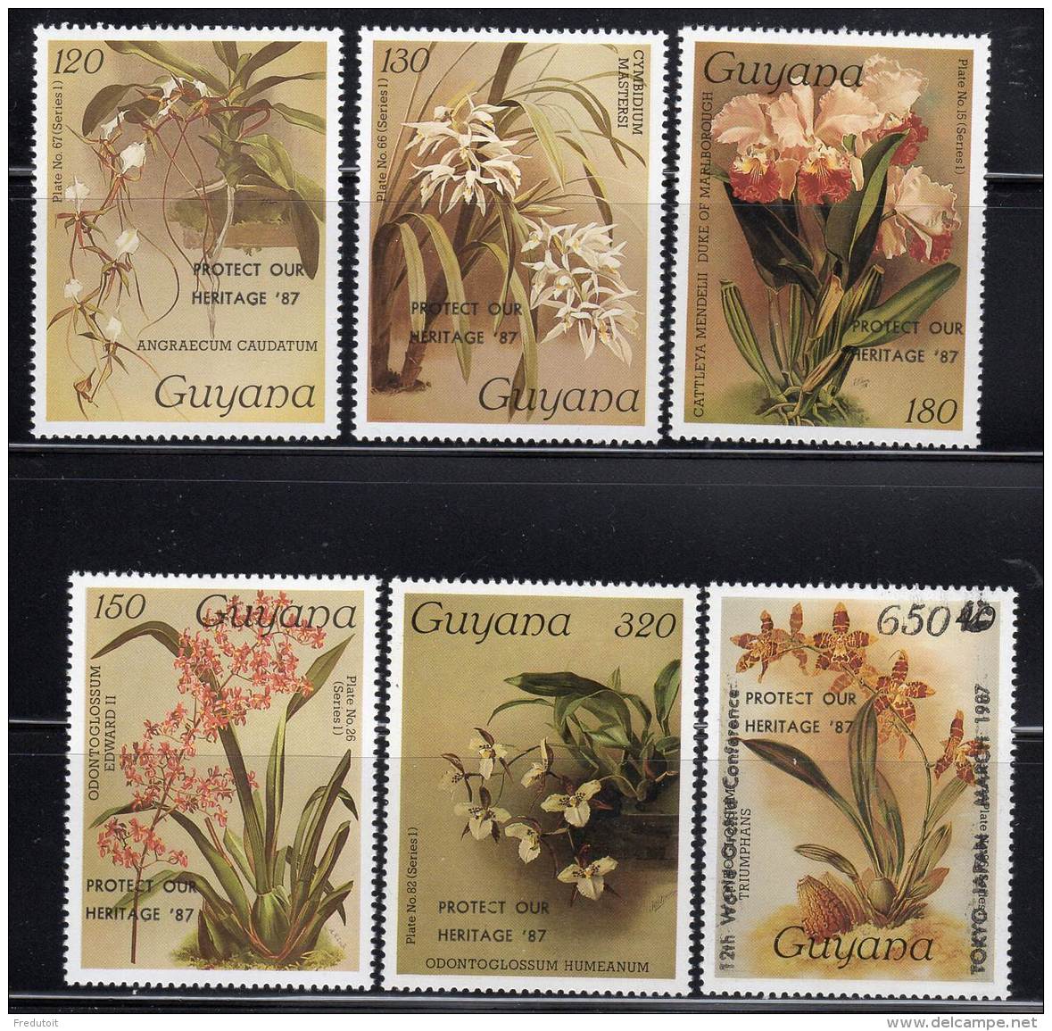 GUYANA - ORCHIDEES - N°1761/66  ** (1987) Surchage "PROTECT OUR HERITAGE 87" - Guyane (1966-...)