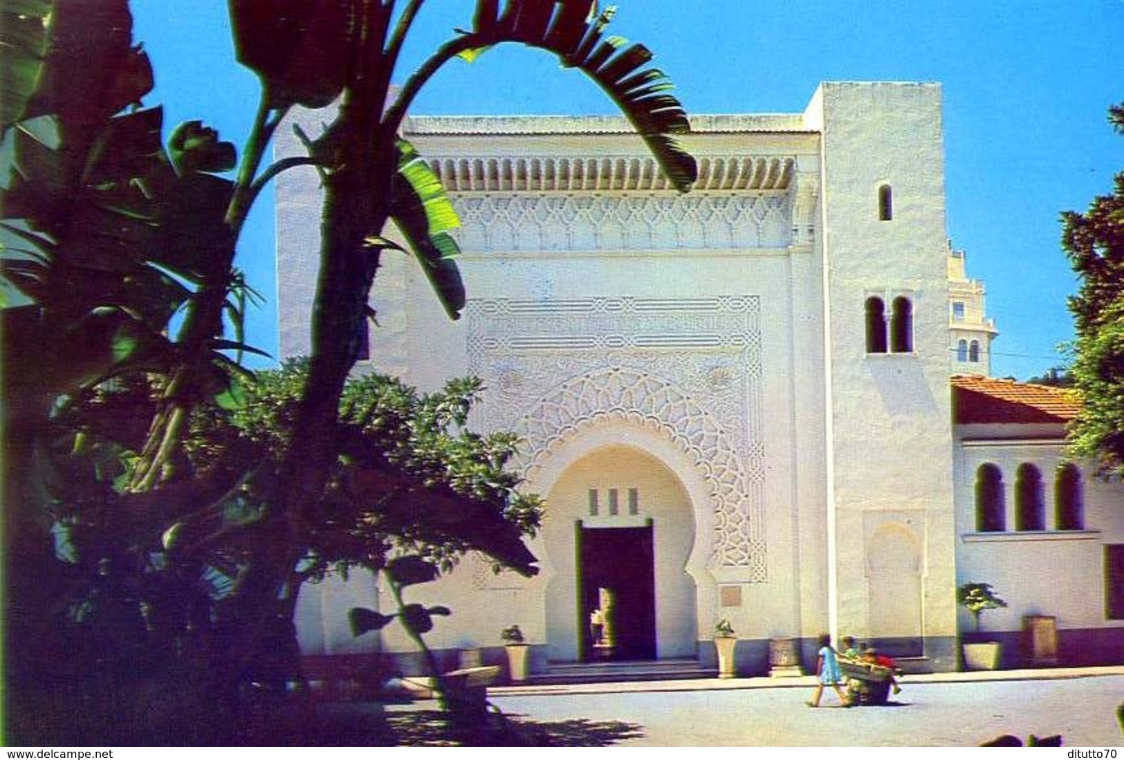 Algerie - La Blanche - Musee National Des Antiquites - 4010 - Formato Grande Non Viaggiata - E - Autres & Non Classés