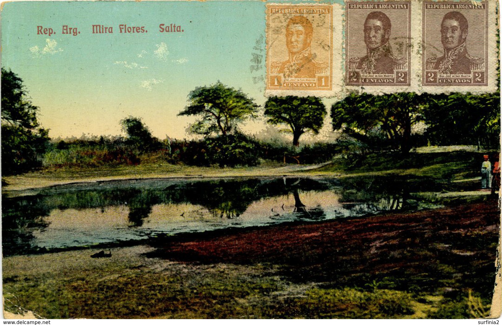 ARGENTINA - SALTA - MIRA FLORES 1920 Arg52 - Argentina