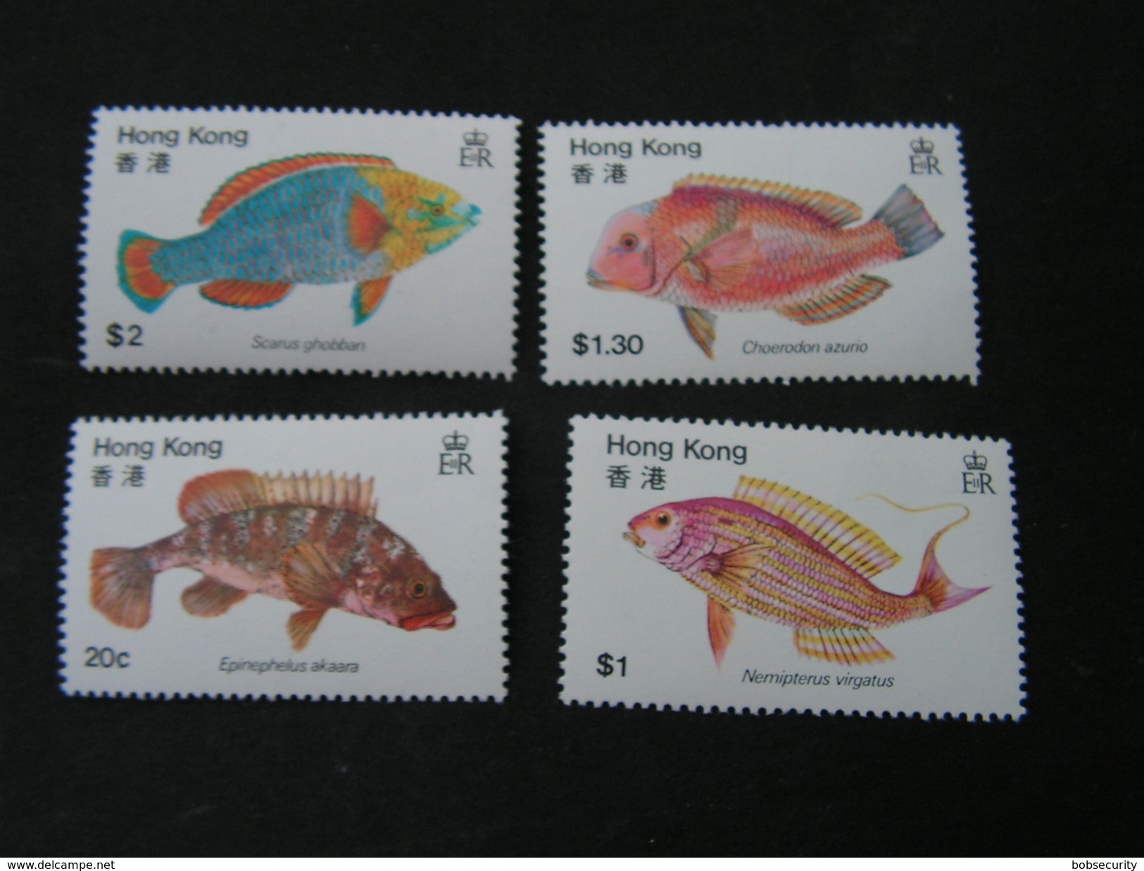 HK Fische ** MNH - Collections, Lots & Series