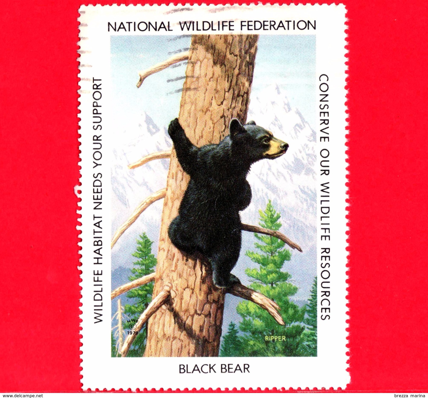 USA - STATI UNITI - Usato - 1987 - Animali Selvatici - Black Bear (Ursus Americanus) - Wildlife Resources - Vignetta - Other & Unclassified