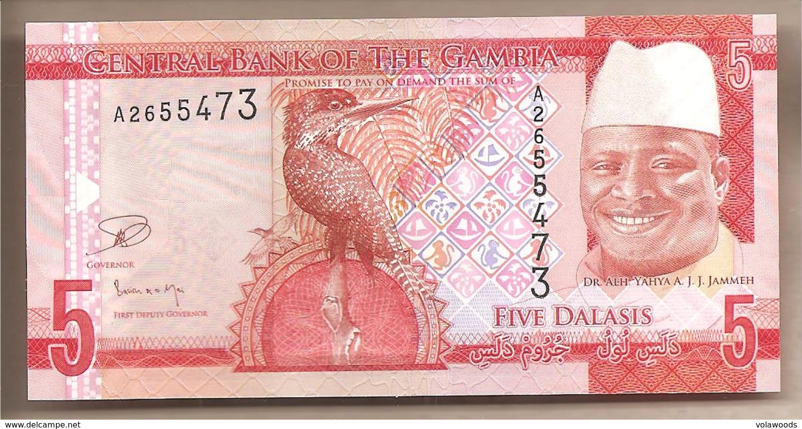 Gambia - Banconota Non Circolata FdS Da 5 Dalasis - 2015 - Gambie