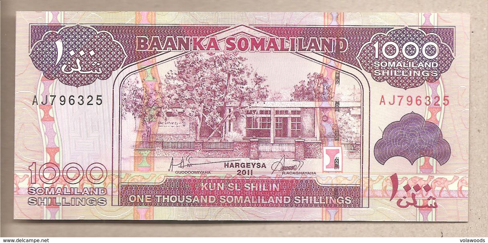 Somaliland - Banconota Non Circolata Fds Da 1000 Scellini - 2011 - Somalië